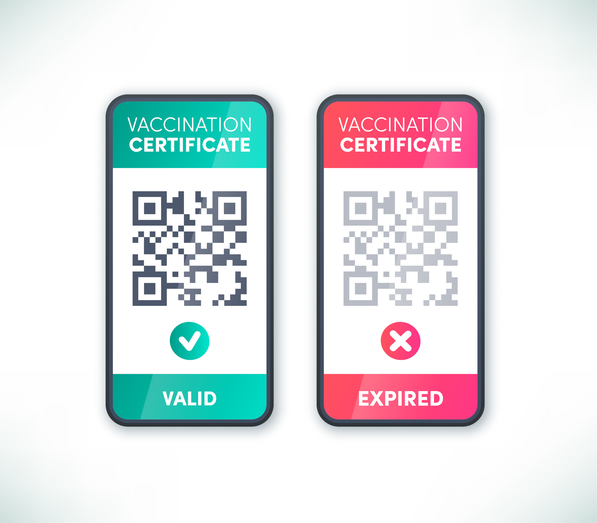 come funziona l'app per leggere il green pass? Pizero Design