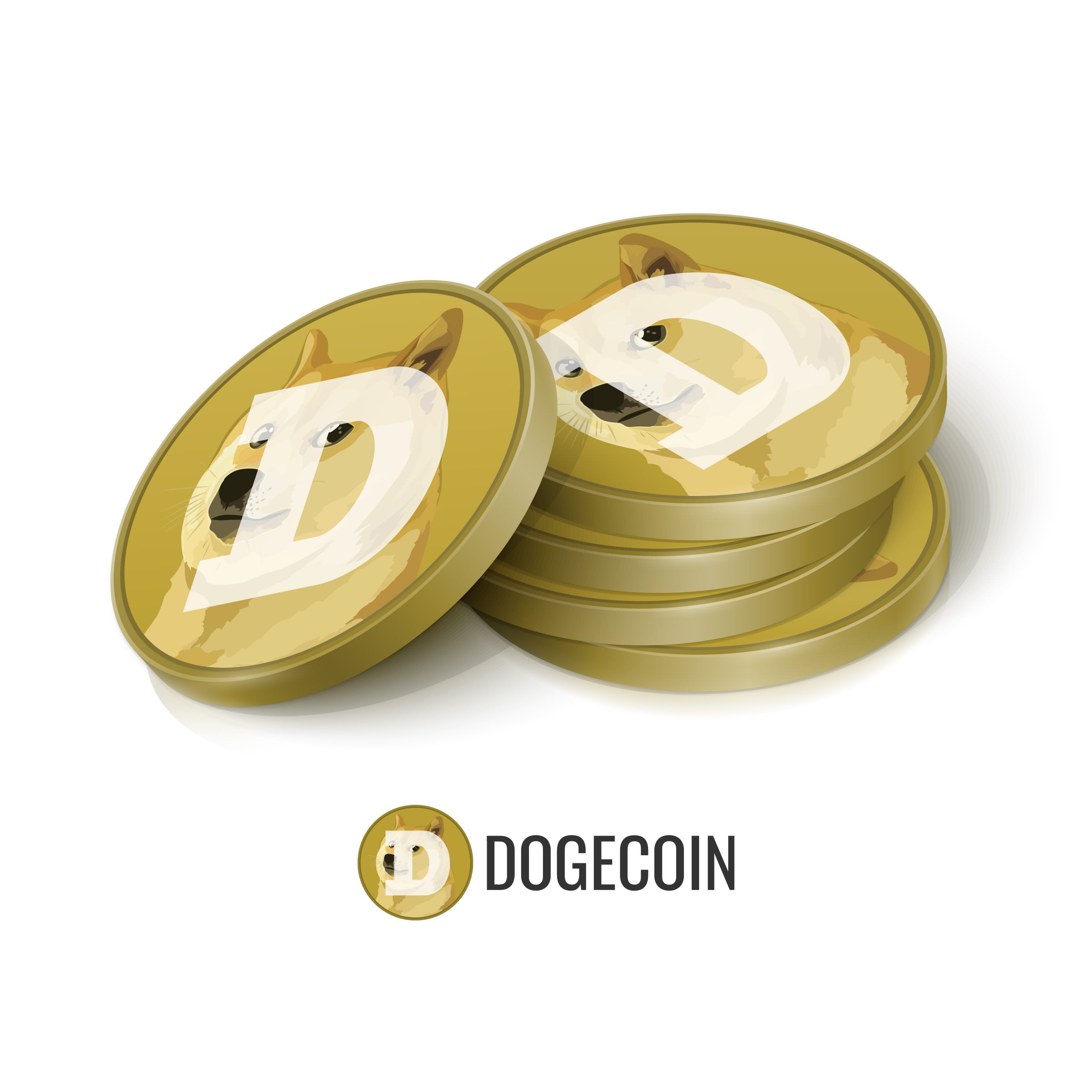 investire in nuove tecnologie - influencer e finanza - il caso dogecoin